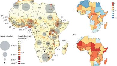 La pandémie en Afrique : Graphisme