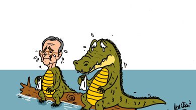 DESSIN ROBERT MENARD